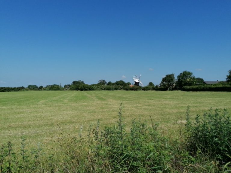 Cambridgeshire ACRE • Projects and case studies